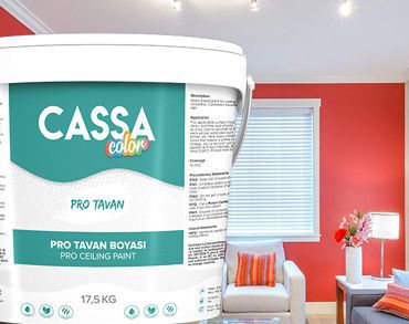 pro tavan boyası cassa