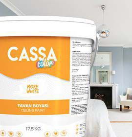 cassa tavan boyası